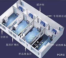 PCR����ҹ�˾